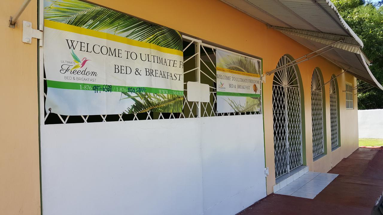 ULTIMATE FREEDOM BED AND BREAKFAST SANTA CRUZ JAMAICA REAL